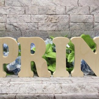 Free standing wooden letters spelling the word spring
