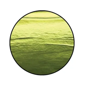Succulent2 Succulent pearl paint